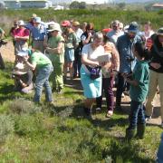 Spring walk, KRCA